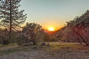 Creekside Cabin 8 Mi to Kings Canyon National Park