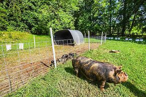 Hayesville Cottage On 20-acre Farm w/ Fish Pond!