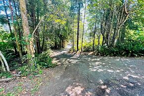 Dreamy Wooded Cabin With Private Beach & Kayaks!