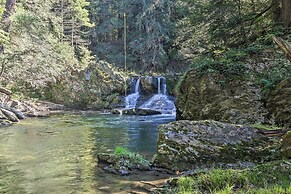 Waterfalls and Trails at 'the Mills At Green Hole'