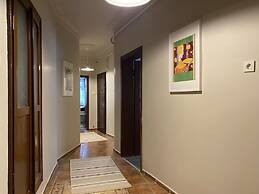 Capacious Flat Near Taksim Square in Beyoglu