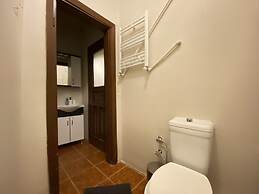 Capacious Flat Near Taksim Square in Beyoglu