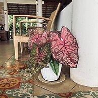 Kooncharaburi Resort - Koh Chang