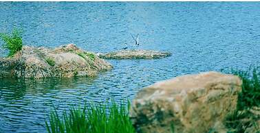 XIONGAN INTERNATIONAL HOTEL