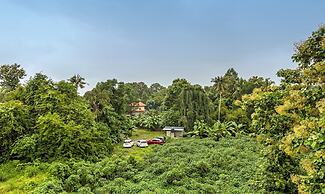 Treebo Dreams Arcade