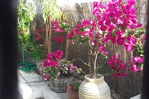 Summer Beach House Spiaggia