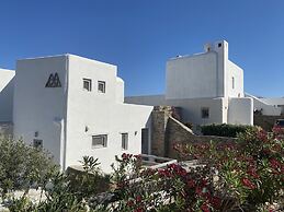Luxurious Villa Oasis in Paros