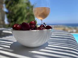 Luxurious Villa Oasis in Paros