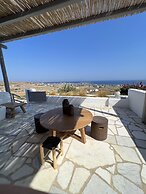 Luxurious Villa Oasis in Paros