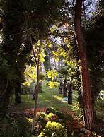 Pine Villas & Apartments Kusadasi