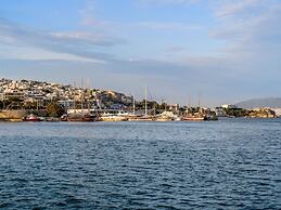 Sanders Port - Precious Studio Near Piraeus Port