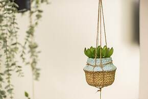 Boutique Suite by Cloudkeys