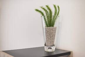 Athens Bright Suite by Cloudkeys