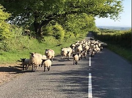 Cosy 3-bed Apartment on Exmoor