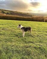 Cottage on Exmoor - Sleeps 8 & Parking