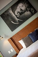 Room fully equipped Spa and gym free