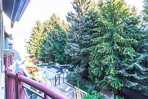 Elevate Vacation Alpenglow Lodge - In the Spirit #304