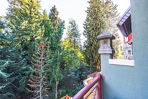 Elevate Vacation Alpenglow Lodge - In the Spirit #304