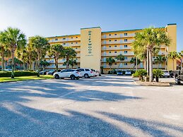 Driftwood Towers #1F - Palm View