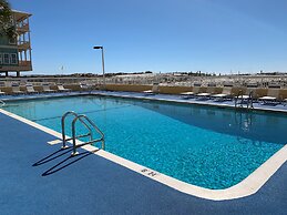 Driftwood Towers #1F - Palm View