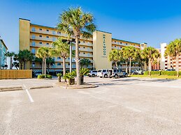 Driftwood Towers #1F - Palm View