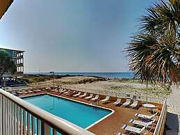 Driftwood Towers #1F - Palm View