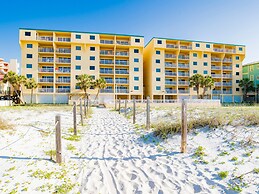 Driftwood Towers #1F - Palm View