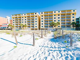 Driftwood Towers #1F - Palm View