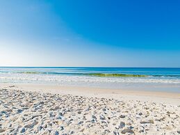 Driftwood Towers #1F - Palm View