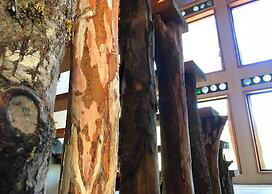 La Colmena Eco Lodge