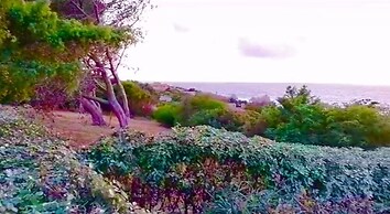 Villetta dei Ginepri Costa Paradiso