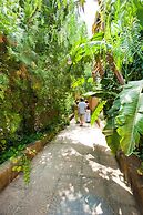 Park Residence Cicladi - View Truly Breathtaking