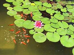 6- Lovely Apartment in Front of the sea