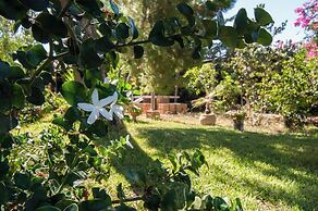 Apartment Immersed in a Large Garden Park Residence Cicladi