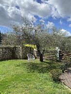 Villa in Corfu With Pool & Amazing Views - The Grove