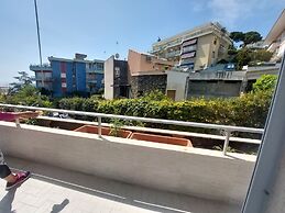 Vanesia's Luxury Suits