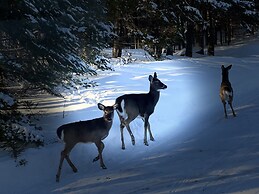 Room in Lodge - Beach Club Hotel st Emilie Energie Lake Mountain No636