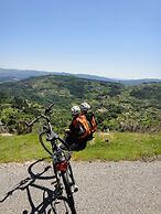 Treehouse Quinta Lamosa