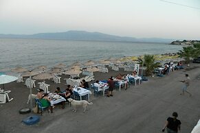 Ekin Assos