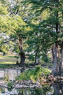 Cation on the Guadalupe