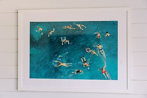 Cation on the Guadalupe