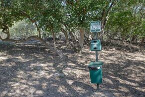 Cation on the Guadalupe