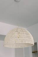 Cation on the Guadalupe