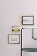 Cation on the Guadalupe