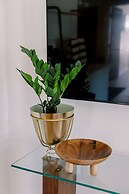 Cation on the Guadalupe