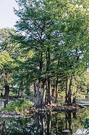 Cation on the Guadalupe