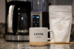 Cation on the Guadalupe