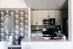 Cation on the Guadalupe