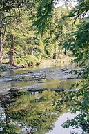 Cation on the Guadalupe