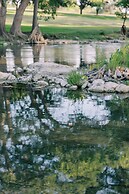 Cation on the Guadalupe